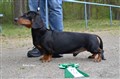 BIM KN Sätila -24 DSC_0594.JPG