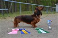 BIM LN Sätila -24 DSC_0770.JPG
