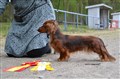 BIR LD Sätila -24 DSC_0712.JPG