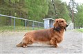 BIR LN Sätila -24 DSC_0815.JPG