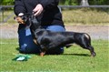 BIM KN Sätila -25 DSC_1890.JPG