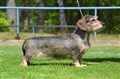 BIM SN Sätila -25 DSC_1823.JPG