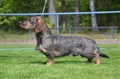 BIS 3 SN Sätila -25 DSC_1818.JPG