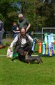 BIS 4 Sätila -25 DSC_1949.JPG