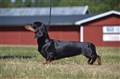 BIR KK Vårgårda -25 DSC_0101.JPG