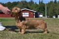BIR SK Vårgårda -25DSC_0210.JPG