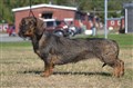 BIS 4 SN Vårgårda -25 DSC_0276.JPG