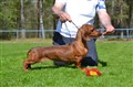 BIS 1 KN Sätila -26 DSC_1661.JPG