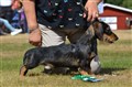 BIM SK Vårgårda -26 DSC_1111.JPG