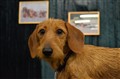 DSC_3630.JPG